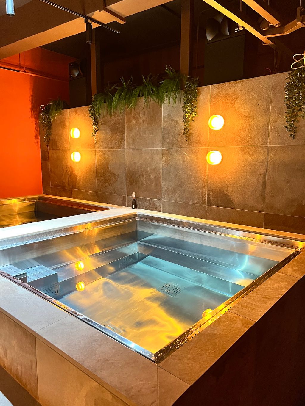 Plunge Club Singapore - Image 4