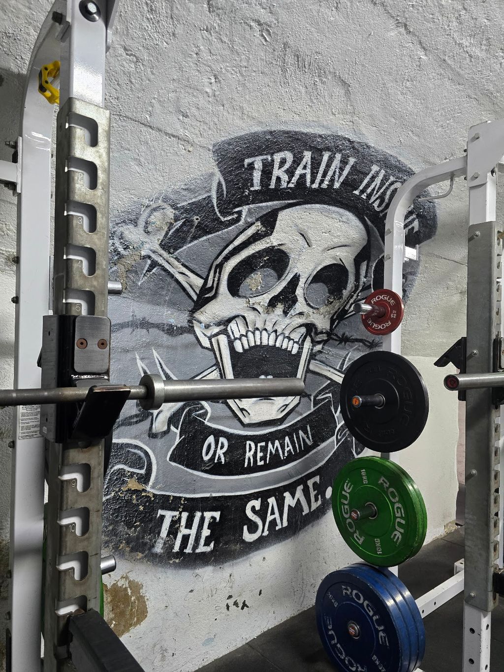 Doherty's Gym City - Image 7