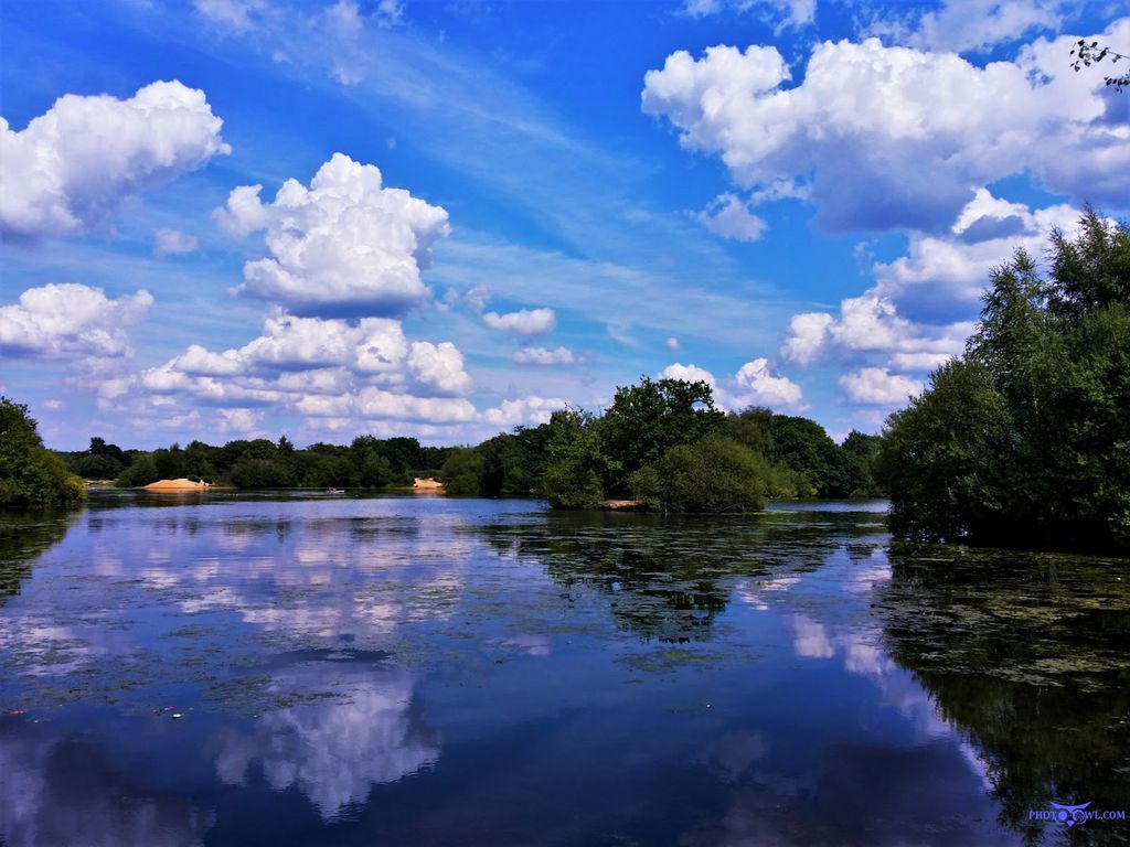 Hollow Ponds