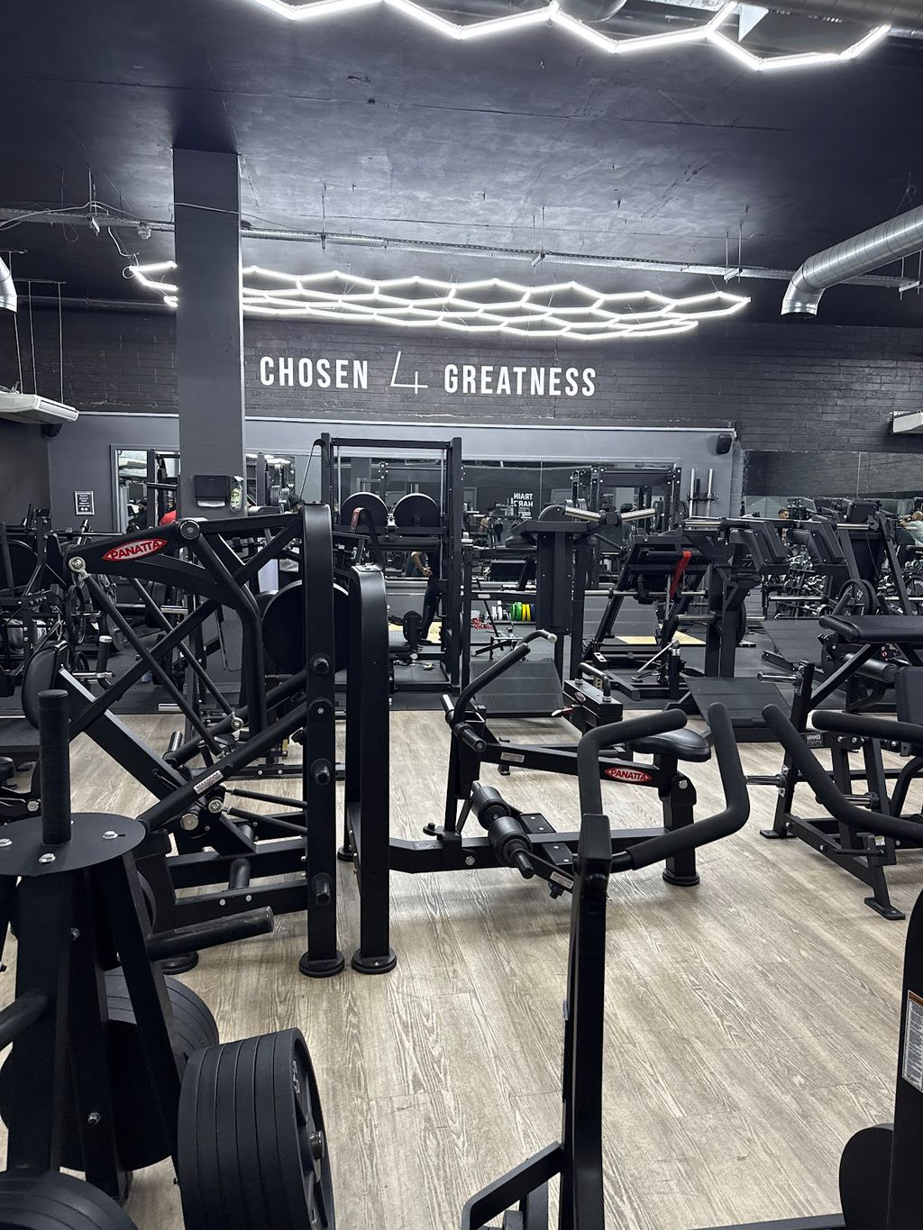 Chosen Gym Hounslow - Image 6