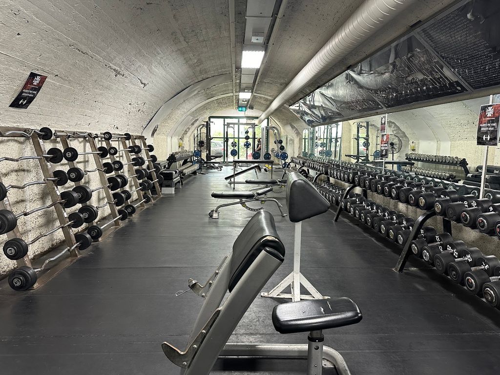 Doherty's Gym City