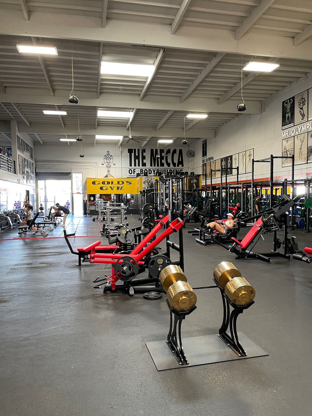 Gold's Gym Venice