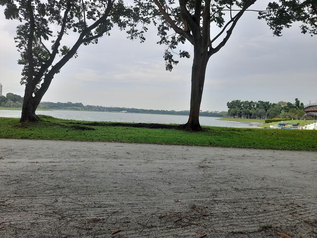 The Gym Pod @ Bedok Reservoir Park - Image 7