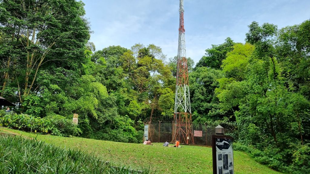Bukit Timah Nature Reserve - Image 6
