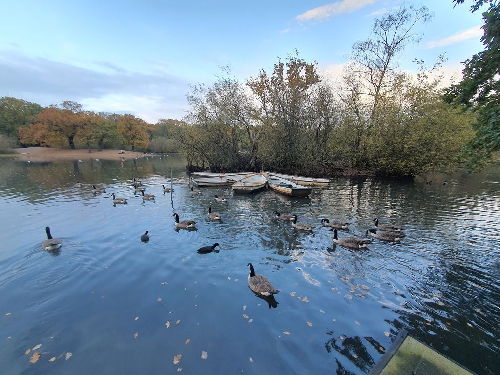 Hollow Ponds - Image 3