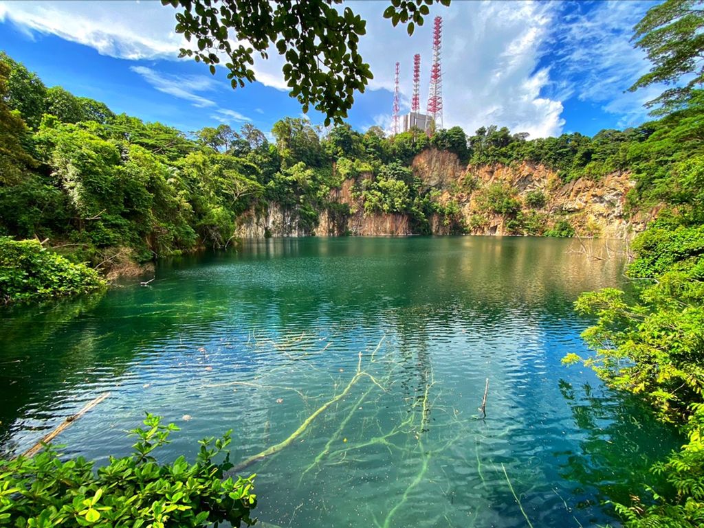 Bukit Timah Nature Reserve - Image 4
