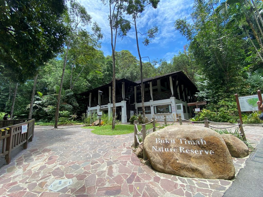Bukit Timah Nature Reserve - Image 5